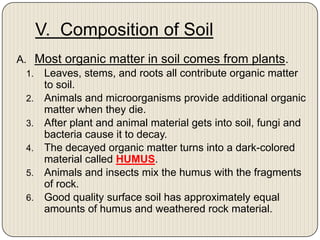 V.  Composition of SoilMost organic matter in soil comes from plants. Leaves, stems, and roots all contribute organic matter to soil.Animals and microorganisms provide additional organic matter when they die. After plant and animal material gets into soil, fungi and bacteria cause it to decay. The decayed organic matter turns into a dark-colored material called HUMUS. Animals and insects mix the humus with the fragments of rock. Good quality surface soil has approximately equal amounts of humus and weathered rock material.  