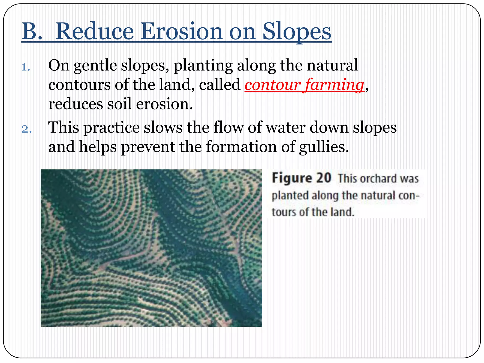 B.  Reduce Erosion on SlopesOn gentle slopes, planting along the natural contours of the land, called contour farming, reduces soil erosion. This practice slows the flow of water down slopes and helps prevent the formation of gullies. 