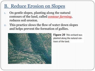 B.  Reduce Erosion on SlopesOn gentle slopes, planting along the natural contours of the land, called contour farming, reduces soil erosion. This practice slows the flow of water down slopes and helps prevent the formation of gullies. 