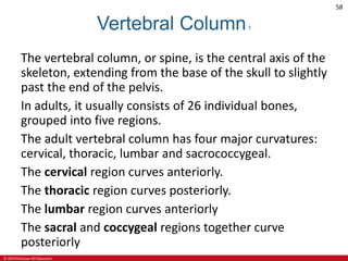 CHAPTER 6 SKELETAL SYSTEM in Anatomy and Physiologypdf | PDF
