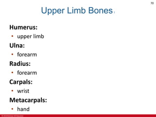 CHAPTER 6 SKELETAL SYSTEM in Anatomy and Physiologypdf | PDF