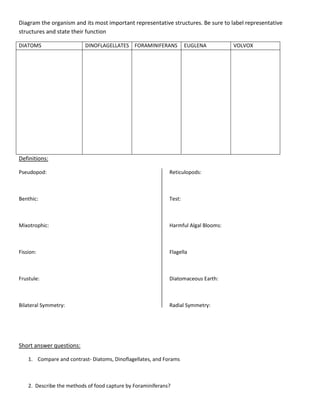 Diagram the organism and its most important representative structures. Be sure to label representative
structures and state their function

DIATOMS                    DINOFLAGELLATES FORAMINIFERANS            EUGLENA         VOLVOX




Definitions:

Pseudopod:                                                   Reticulopods:



Benthic:                                                     Test:



Mixotrophic:                                                 Harmful Algal Blooms:



Fission:                                                     Flagella



Frustule:                                                    Diatomaceous Earth:



Bilateral Symmetry:                                          Radial Symmetry:




Short answer questions:

    1. Compare and contrast- Diatoms, Dinoflagellates, and Forams



    2. Describe the methods of food capture by Foraminiferans?
 