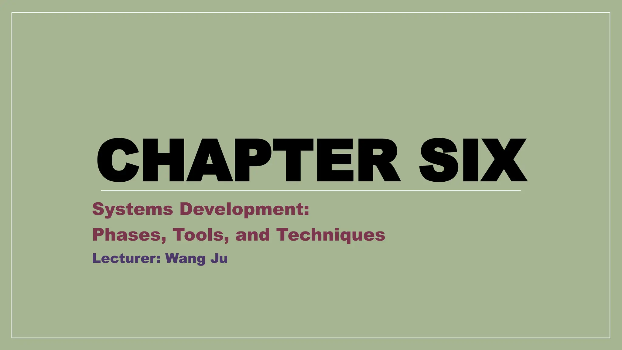 Chapter 6 Systems Development Phases, Tools, and Techniques1.pptx