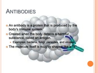 ANTIBODIES

 An antibody is a protein that is produced by the
  body's immune system.
 Created when the body detects a harmful
  substance, called an antigen.
       Examples: bacteria, fungi, parasites, and viruses.
   The molecule itself is roughly shaped like a "Y"
 