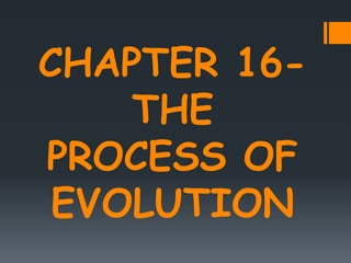 CHAPTER 16-
THE
PROCESS OF
EVOLUTION
 