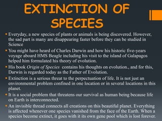 Chapter 6 : The Process of Evolution | PPTX