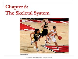 Chapter 6:
The Skeletal System
© 2013 John Wiley & Sons, Inc. All rights reserved.
 