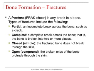 Complete Break Chapter 6 the skeletal system | PPT