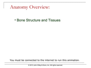 © 2013 John Wiley & Sons, Inc. All rights reserved.
Anatomy Overview:
You must be connected to the internet to run this animation.
• Bone Structure and Tissues
 