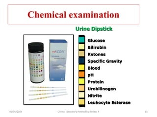 Chemical examination
Glucose
Bilirubin
Ketones
Specific Gravity
Blood
pH
Protein
Urobilinogen
Nitrite
Leukocyte Esterase
Urine Dipstick
06/05/2024 Clinical laboratory method by Bedasa A 15
 