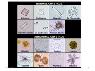 20
06/05/2024 Clinical laboratory method by Bedasa A
 