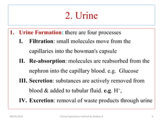 2. Urine
1. Urine Formation: there are four processes
I. Filtration: small molecules move from the
capillaries into the bowman's capsule
II. Re-absorption: molecules are reabsorbed from the
nephron into the capillary blood. e.g. Glucose
III. Secretion: substances are actively removed from
blood & added to tubular fluid. e.g. H+,
IV. Excretion: removal of waste products through urine
6
06/05/2024 Clinical laboratory method by Bedasa A
 
