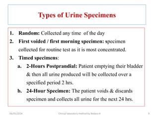 Types of Urine Specimens
1. Random: Collected any time of the day
2. First voided / first morning specimen: specimen
collected for routine test as it is most concentrated.
3. Timed specimens:
a. 2-Hours Postprandial: Patient emptying their bladder
& then all urine produced will be collected over a
specified period 2 hrs.
b. 24-Hour Specimen: The patient voids & discards
specimen and collects all urine for the next 24 hrs.
9
06/05/2024 Clinical laboratory method by Bedasa A
 