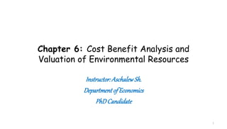 Chapter 6: Cost Benefit Analysis and
Valuation of Environmental Resources
Instructor: AschalewSh.
Department of Economics
PhDCandidate
1
 
