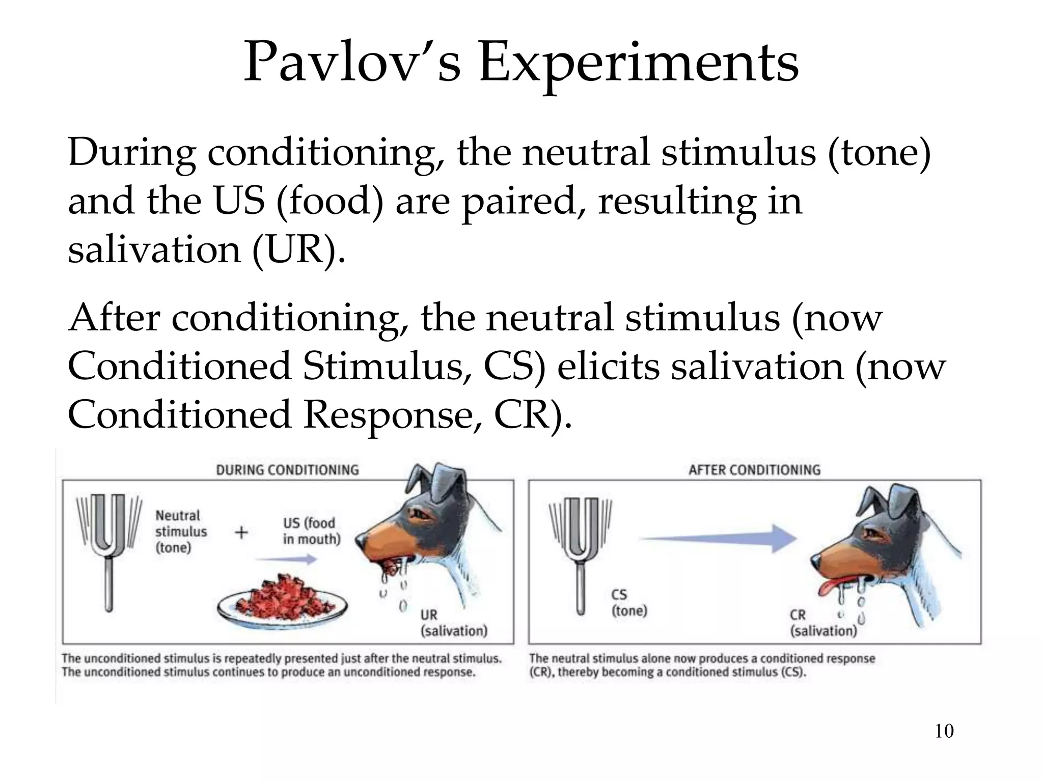 Pavlov’s Experiments
During conditioning, the neutral stimulus (tone)
and the US (food) are paired, resulting in
salivation (UR).
After conditioning, the neutral stimulus (now
Conditioned Stimulus, CS) elicits salivation (now
Conditioned Response, CR).




                                                   10
 