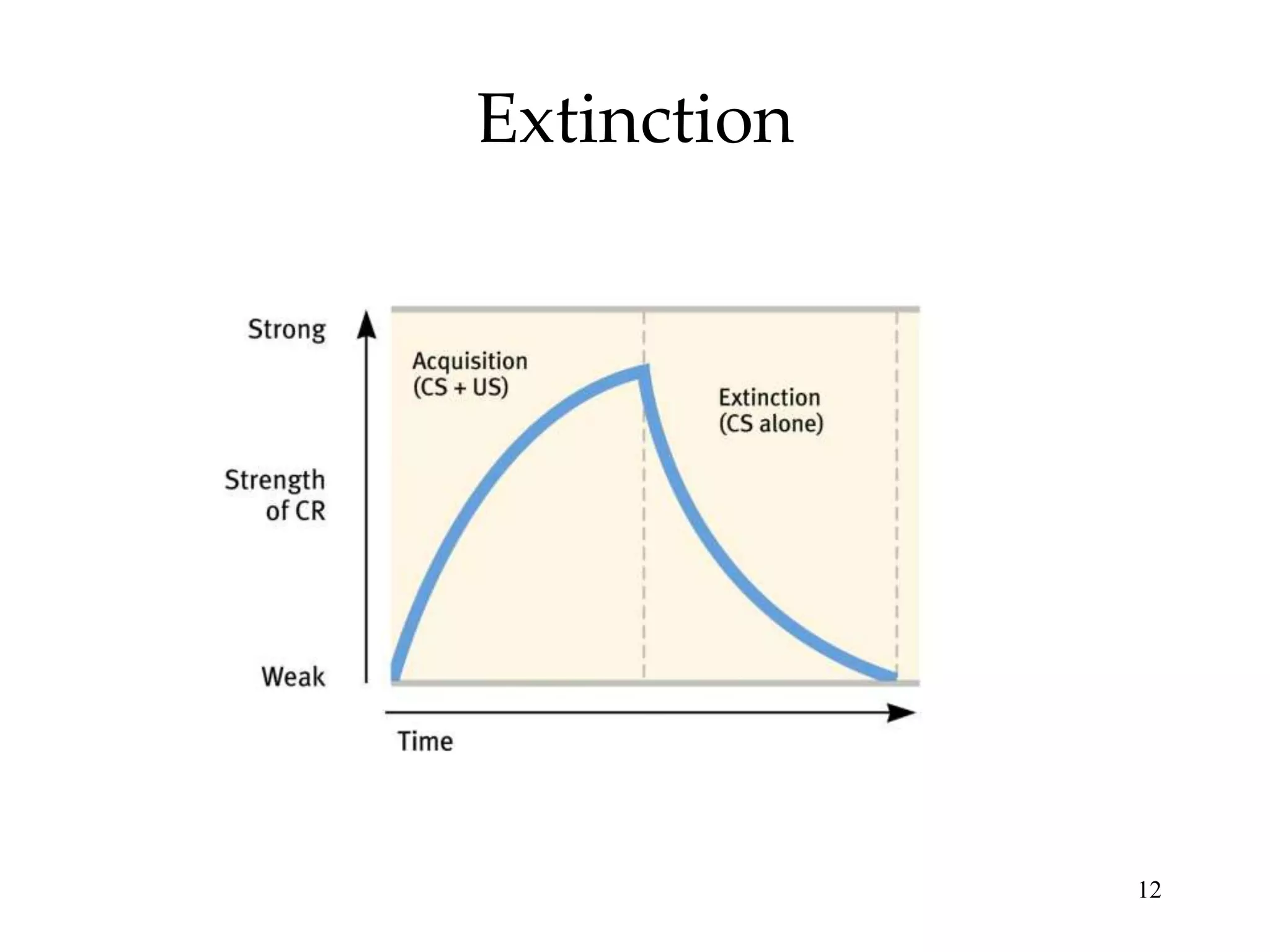 Extinction




             12
 