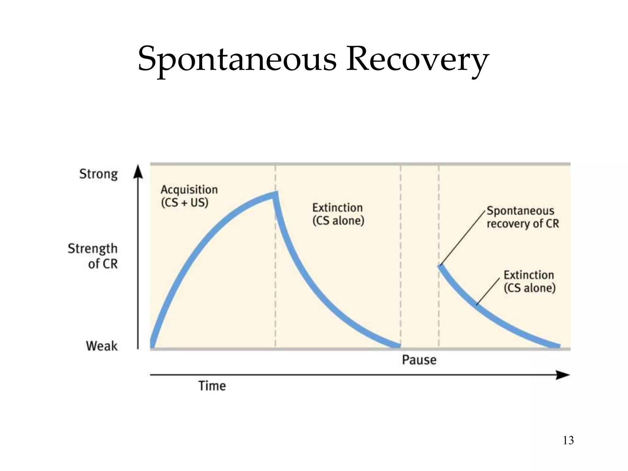 Spontaneous Recovery




                       13
 