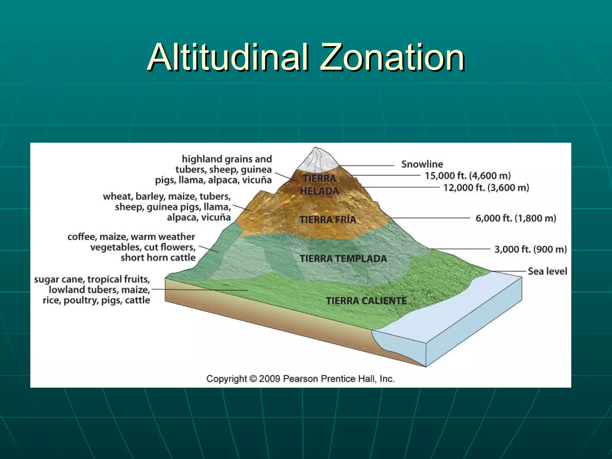 Altitudinal Zonation 