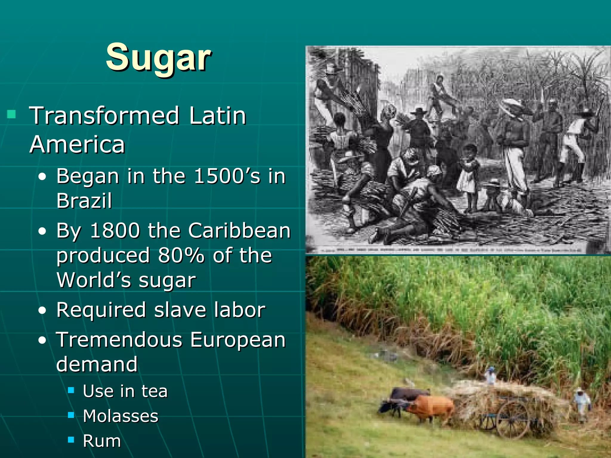 Sugar Transformed Latin America Began in the 1500’s in Brazil By 1800 the Caribbean produced 80% of the World’s sugar Required slave labor Tremendous European demand Use in tea Molasses Rum 