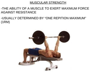 MUSCULAR STRENGTH -THE ABILITY OF A MUSCLE TO EXERT MAXIMUM FORCE AGAINST RESISTANCE -USUALLY DETERMINED BY “ONE REPITION MAXIMUM” (1RM) 