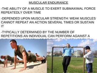 MUSCULAR ENDURANCE -THE ABILITY OF A MUSCLE TO EXERT SUBMAXIMAL FORCE REPEATEDLY OVER TIME -DEPENDED UPON MUSCULAR STRENGTH: WEAK MUSCLES CANNOT REPEAT AN ACTION SEVERAL TIMES OR SUSTAIN IT -TYPICALLY DETERMINED BY THE NUMBER OF REPETITIONS AN INDIVIDUAL CAN PERFORM AGAINST A SUBMAXIMAL RESISTANCE OR BY THE LENGTH OF TIME A GIVEN ACTION SUSTAINED   