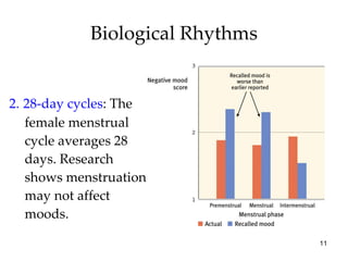 Biological Rhythms 2.   28-day cycles : The female menstrual cycle averages 28 days. Research shows menstruation may not affect moods. 