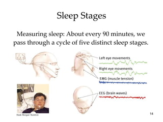 Measuring sleep: About every 90 minutes, we pass through a cycle of five distinct sleep stages. Sleep Stages Hank Morgan/ Rainbow 