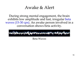 Awake & Alert During strong mental engagement, the brain exhibits low amplitude and fast, irregular  beta waves (15-30 cps) . An awake person involved in a conversation shows beta activity. Beta Waves 