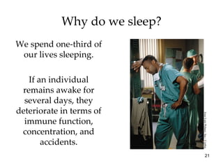Why do we sleep? We spend one-third of our lives sleeping. If an individual remains awake for several days, they deteriorate in terms of immune function, concentration, and accidents. Jose Luis Pelaez, Inc./ Corbis 