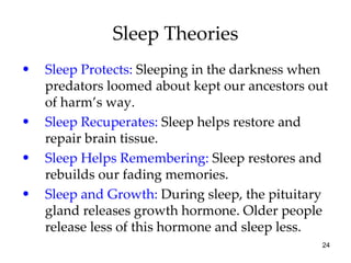 Sleep Theories Sleep Protects:  Sleeping in the darkness when predators loomed about kept our ancestors out of harm’s way. Sleep Recuperates:  Sleep helps restore and repair brain tissue. Sleep Helps Remembering:  Sleep restores and rebuilds our fading memories. Sleep and Growth:  During sleep, the pituitary gland releases growth hormone. Older people release less of this hormone and sleep less. 