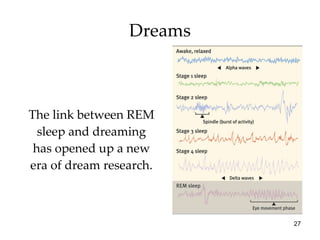 Dreams The link between REM sleep and dreaming has opened up a new era of dream research. 