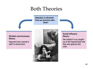 Both Theories Mimi Forsyth 