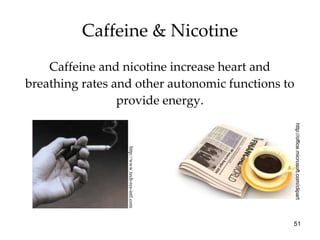 Caffeine & Nicotine Caffeine and nicotine increase heart and breathing rates and other autonomic functions to provide energy. http://www.tech-res-intl.com http://office.microsoft.com/clipart 