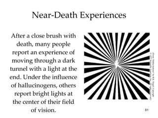 After a close brush with death, many people report an experience of moving through a dark tunnel with a light at the end. Under the influence of hallucinogens, others report bright lights at the center of their field of vision. Near-Death Experiences (From “Hallucinations” by R.K. Siegel. Copyright  © 1977 Scientific American, Inc. All rights reserved.) 