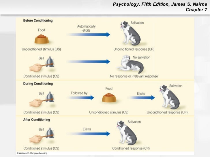 Environmental psychology 5th edition bell pdf creator edition Environmental psychology 5th edition bell pdf creator edition