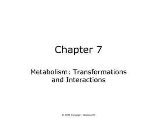 Chapter 7

Metabolism: Transformations
     and Interactions




        © 2009 Cengage - Wadsworth
 