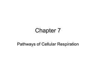 Chapter 7
Pathways of Cellular Respiration
 