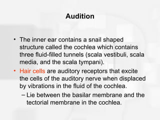 Chapter7 Power Point Lecture | PPT