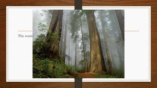 Sources of Timber
The source of timber supply is the trees in the forest.
 