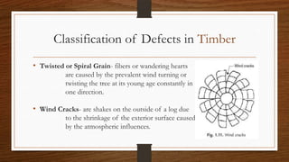 Classification of Defects in Timber
• Twisted or Spiral Grain- fibers or wandering hearts
are caused by the prevalent wind turning or
twisting the tree at its young age constantly in
one direction.
• Wind Cracks- are shakes on the outside of a log due
to the shrinkage of the exterior surface caused
by the atmospheric influences.
 