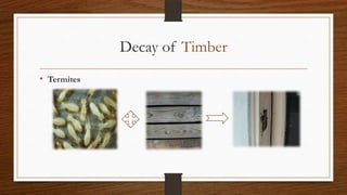 Decay of Timber
• Termites
 