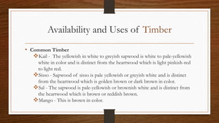 Availability and Uses of Timber
• Common Timber
Kail - The yellowish in white to greyish sapwood is white to pale-yellowish
white in color and is distinct from the heartwood which is light pinkish-red
to light red.
Sisso - Sapwood of sisso is pale yellowish or greyish white and is distinct
from the heartwood which is golden brown or dark brown in color.
Sal - The sapwood is pale-yellowish or brownish white and is distinct from
the heartwood which is brown or reddish brown.
Mango - This is brown in color.
 