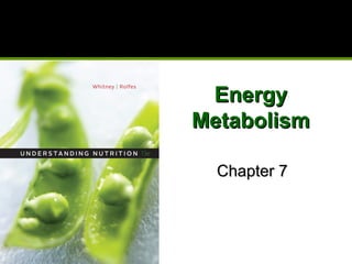 EnergyEnergy
MetabolismMetabolism
Chapter 7Chapter 7
 