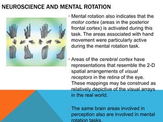 KNOWLEDGE: REPRESENTATION AND MANIPULATION | PPTX