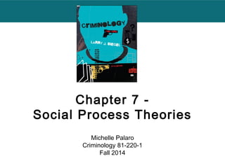 Chapter 7 - 
Social Process Theories 
Michelle Palaro 
Criminology 81-220-1 
Fall 2014 
 