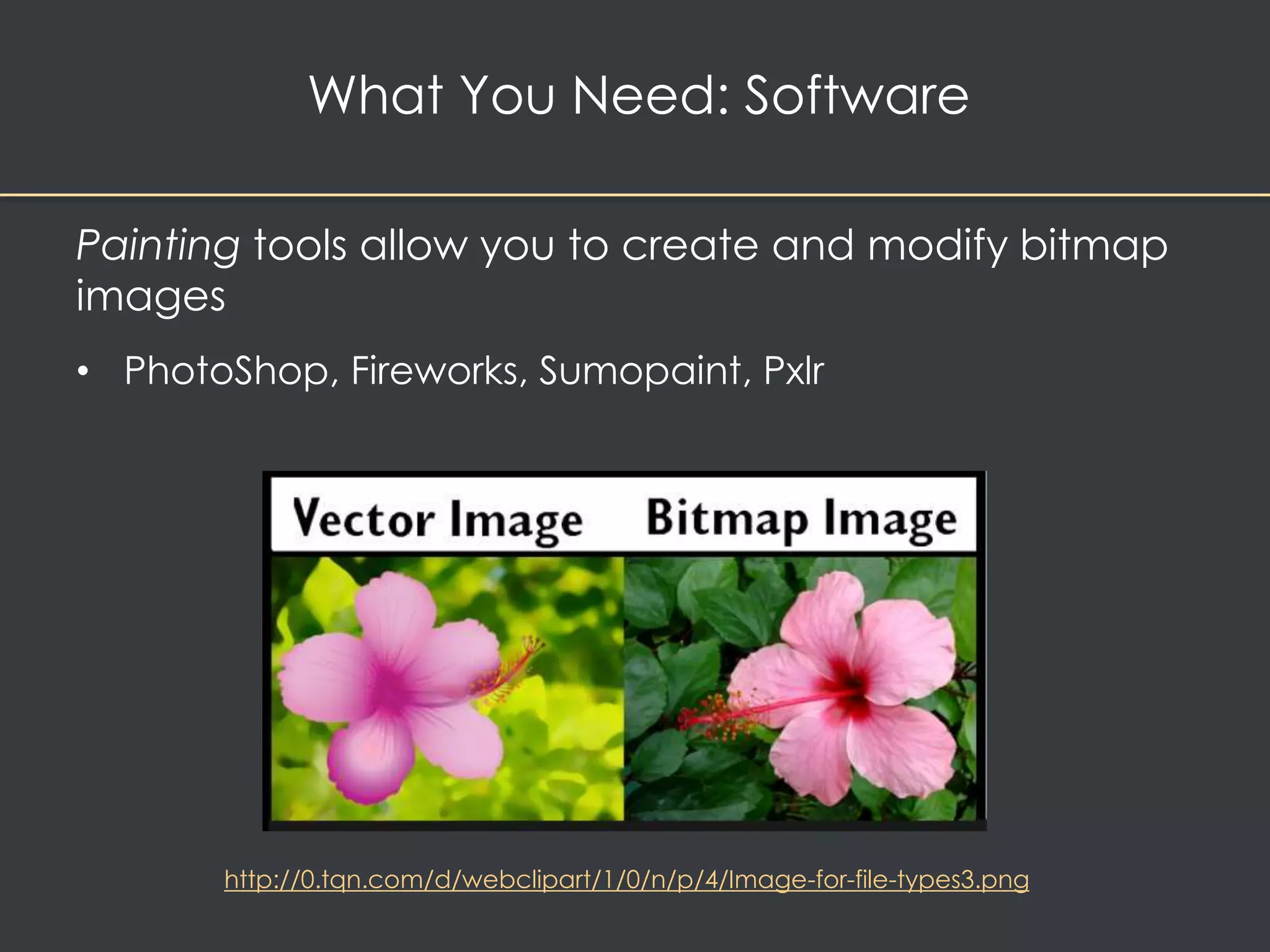 What You Need: Software 
Painting tools allow you to create and modify bitmap 
images 
• PhotoShop, Fireworks, Sumopaint, Pxlr 
http://0.tqn.com/d/webclipart/1/0/n/p/4/Image-for-file-types3.png 
 