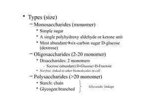 Comprehensive Overview of Carbohydrates and Glycobiology in ...