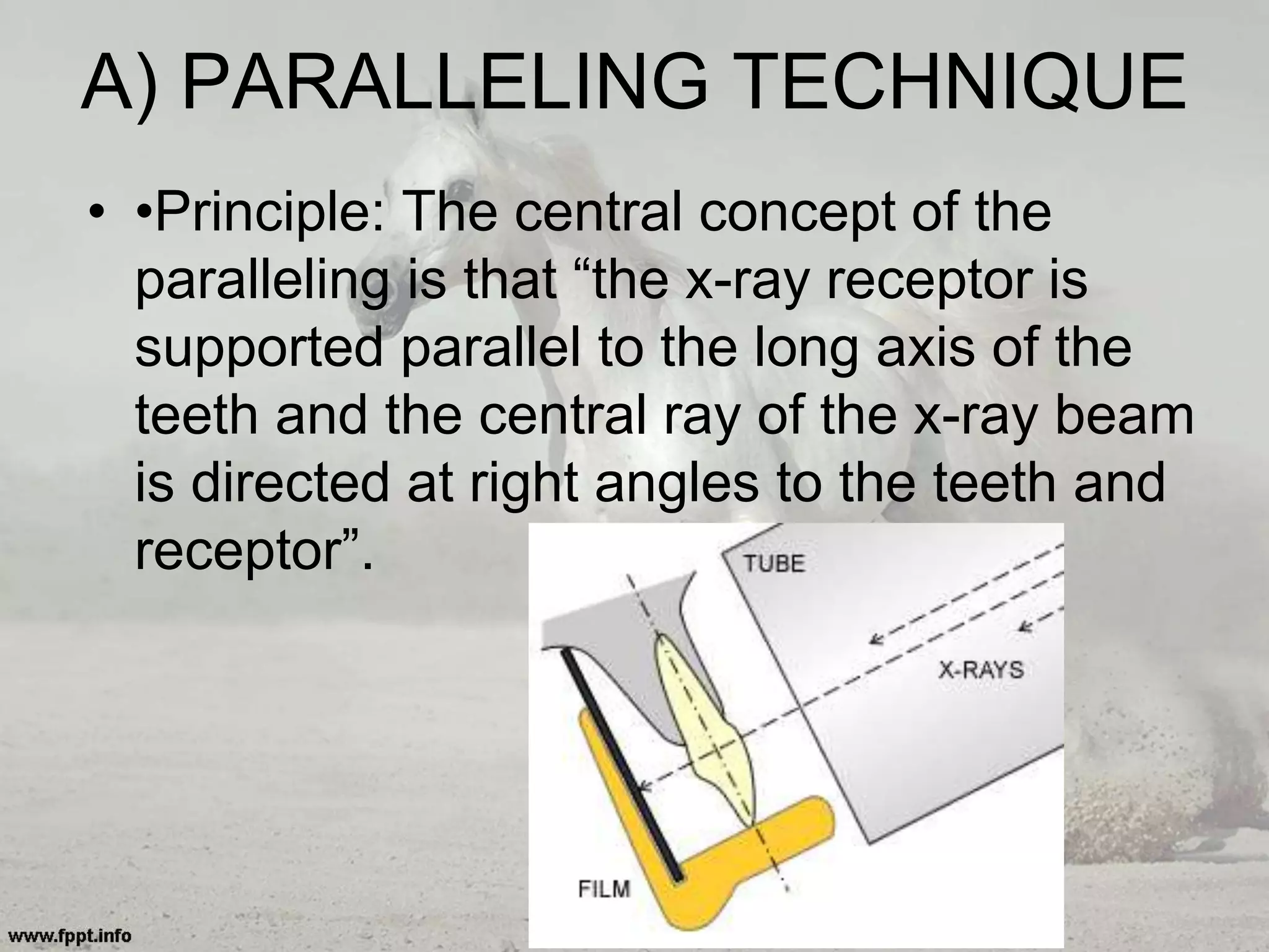 A) PARALLELING TECHNIQUE
• •Principle: The central concept of the
paralleling is that “the x-ray receptor is
supported parallel to the long axis of the
teeth and the central ray of the x-ray beam
is directed at right angles to the teeth and
receptor”.
 