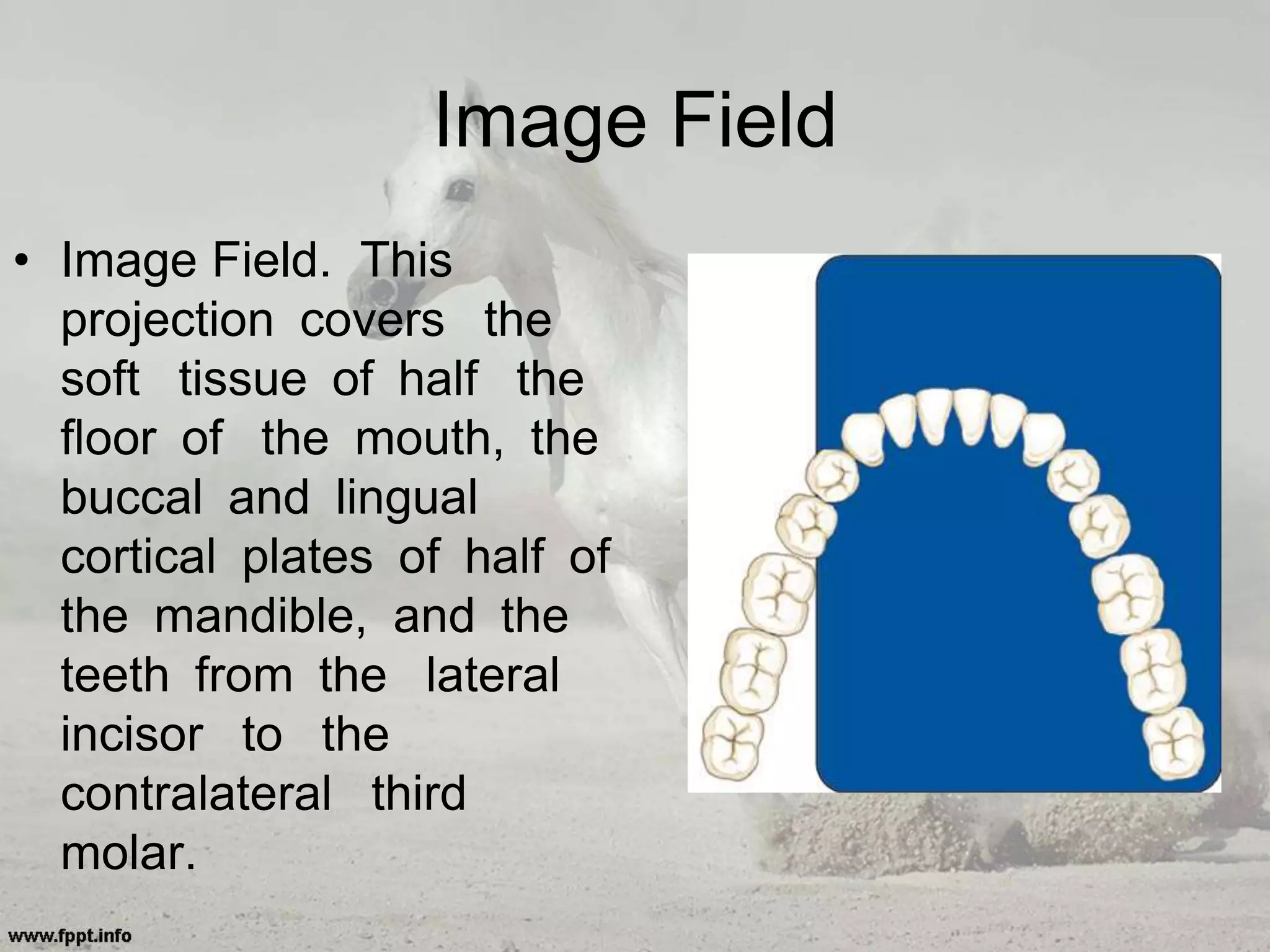 Image Field
• Image Field. This
projection covers the
soft tissue of half the
floor of the mouth, the
buccal and lingual
cortical plates of half of
the mandible, and the
teeth from the lateral
incisor to the
contralateral third
molar.
 