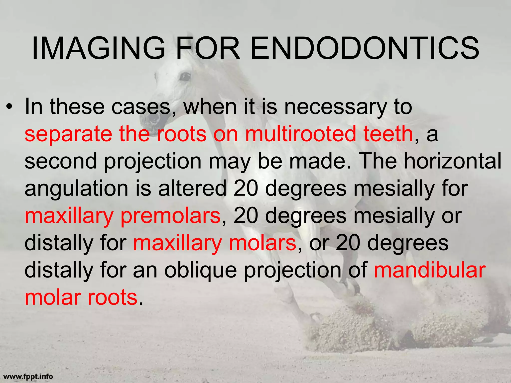 IMAGING FOR ENDODONTICS
• In these cases, when it is necessary to
separate the roots on multirooted teeth, a
second projection may be made. The horizontal
angulation is altered 20 degrees mesially for
maxillary premolars, 20 degrees mesially or
distally for maxillary molars, or 20 degrees
distally for an oblique projection of mandibular
molar roots.
 